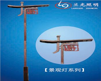 內(nèi)蒙古雙頭市電景觀燈